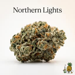 Northern Lights cannabis strain