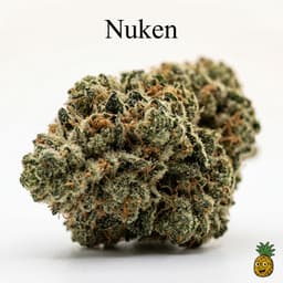 Nuken cannabis strain