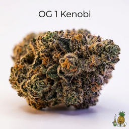 OG 1 Kenobi cannabis strain