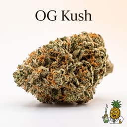 OG Kush cannabis strain