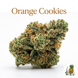 Orange Cookies cannabis strain