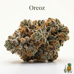 Oreoz cannabis strain
