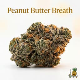Peanut Butter Breath cannabis strain