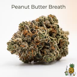 Peanut Butter Breath cannabis strain