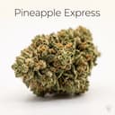Pineapple Express cannabis strain