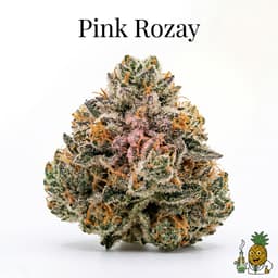 Pink Rozay cannabis strain