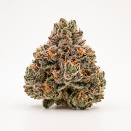 Pink Rozay cannabis strain