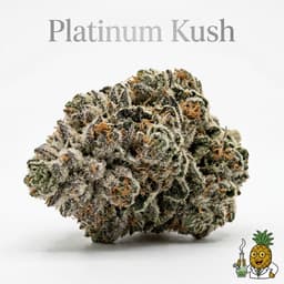 Platinum Kush cannabis strain