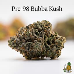 Pre-98 Bubba Kush cannabis strain