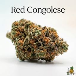 Red Congolese cannabis strain