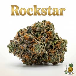 Rockstar cannabis strain