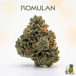 Romulan cannabis strain