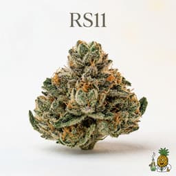 RS11 cannabis strain