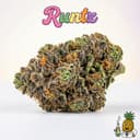 Runtz cannabis strain