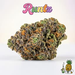 Runtz cannabis strain