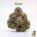 Runtz cannabis strain