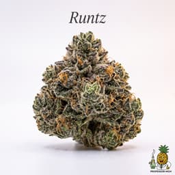 Runtz cannabis strain