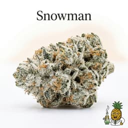 Snowman bud