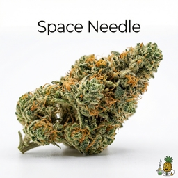 Space Needle cannabis strain