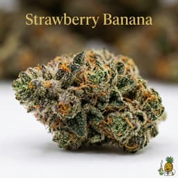 Strawberry Banana cannabis strain