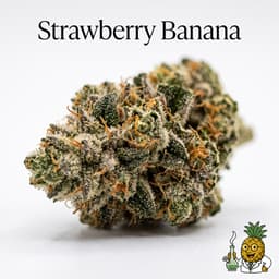 Strawberry Banana cannabis strain