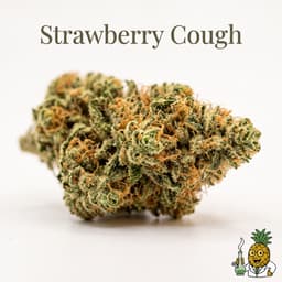 Strawberry Cough cannabis strain