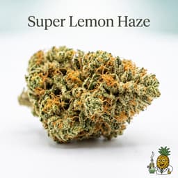 Super Lemon Haze cannabis strain