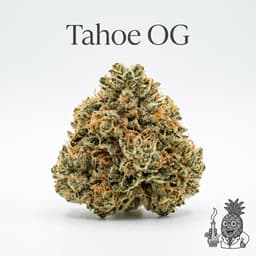 Tahoe OG cannabis strain
