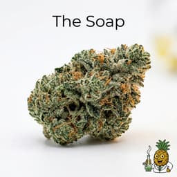 The Soap cannabis strain