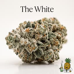The White cannabis strain