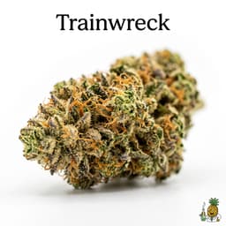 Trainwreck cannabis strain