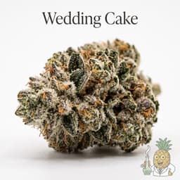 Wedding Cake cannabis strain