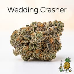 Wedding Crasher cannabis strain