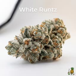 White Runtz cannabis strain