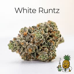 White Runtz cannabis strain