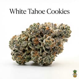 White Tahoe Cookies cannabis strain