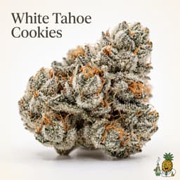 White Tahoe Cookies cannabis strain
