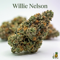 Willie Nelson cannabis strain