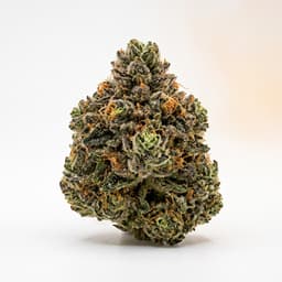 Zkittlez cannabis strain