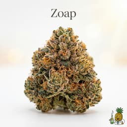 Zoap cannabis strain