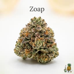 Zoap cannabis strain