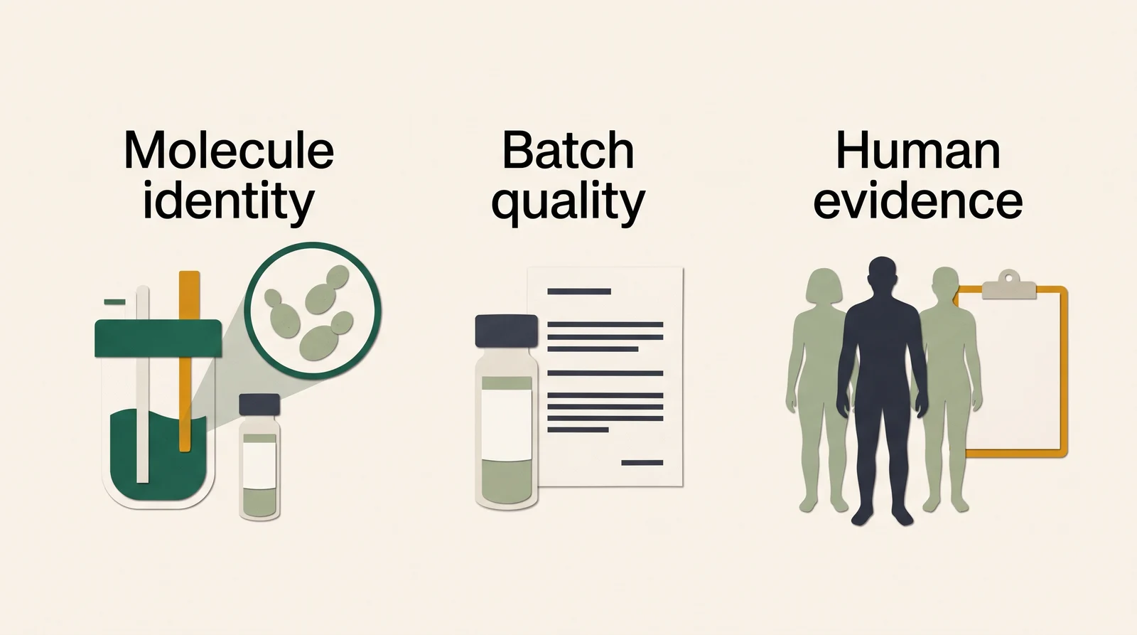 Three separate panels show a yeast culture, a sample with a report, and adults with a clipboard, labeled Molecule identity, Batch quality and Human evidence.